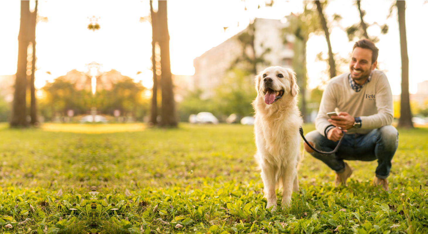 A Fetch! sitter kneeling in a sunny park beside a happy golden retriever
